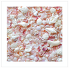 jsquared-beach-cover-ups-shelluva-pink-shells