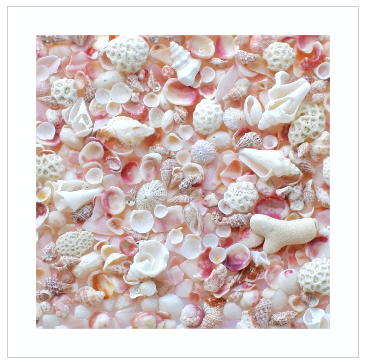 jsquared-beach-cover-ups-shelluva-pink-shells